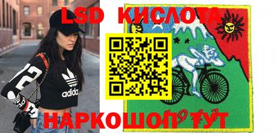 ГАЛЛЮЦИНОГЕННЫЕ ГРИБЫ Брянск