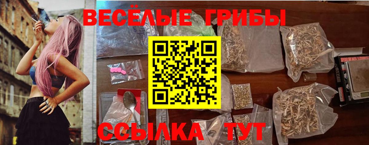 Камышин  Псилоцибиновые грибы Psilocybe  Вход с VPN 